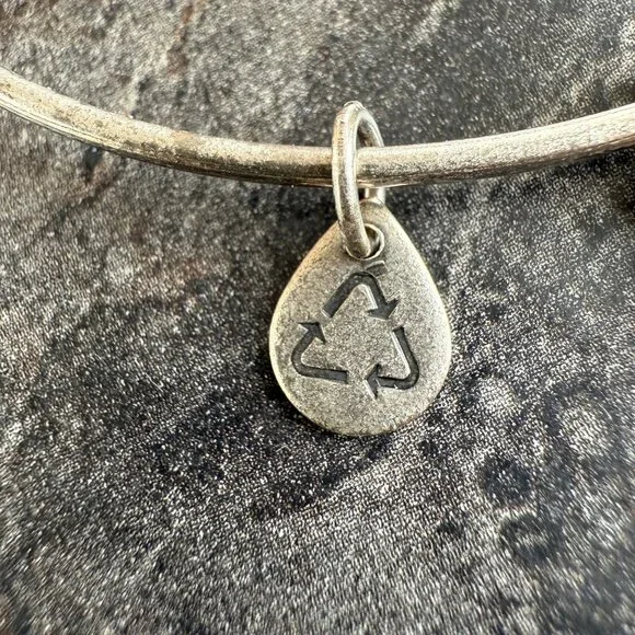 Alex and Ani Apple Charm Bracelet Silver Nature Expandable Bangle - Picture 10 of 14